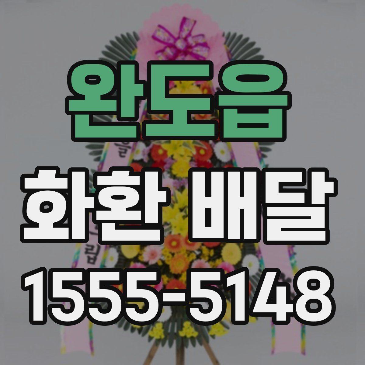 완도읍 화환 배달 가능한 종류와 활용 상황