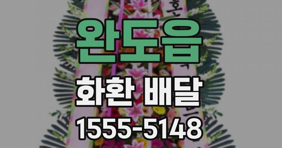완도읍 화환 배달