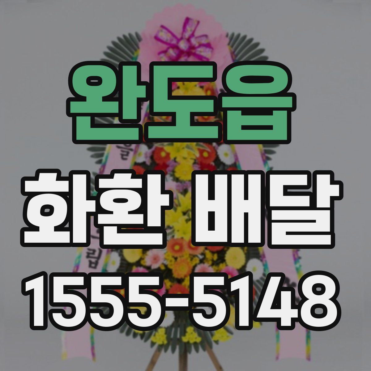 완도읍 화환 배달