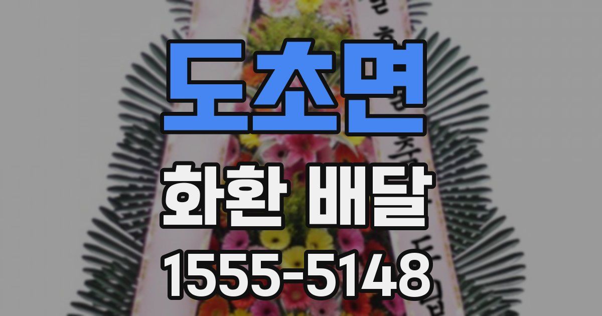 도초면 화환 배달