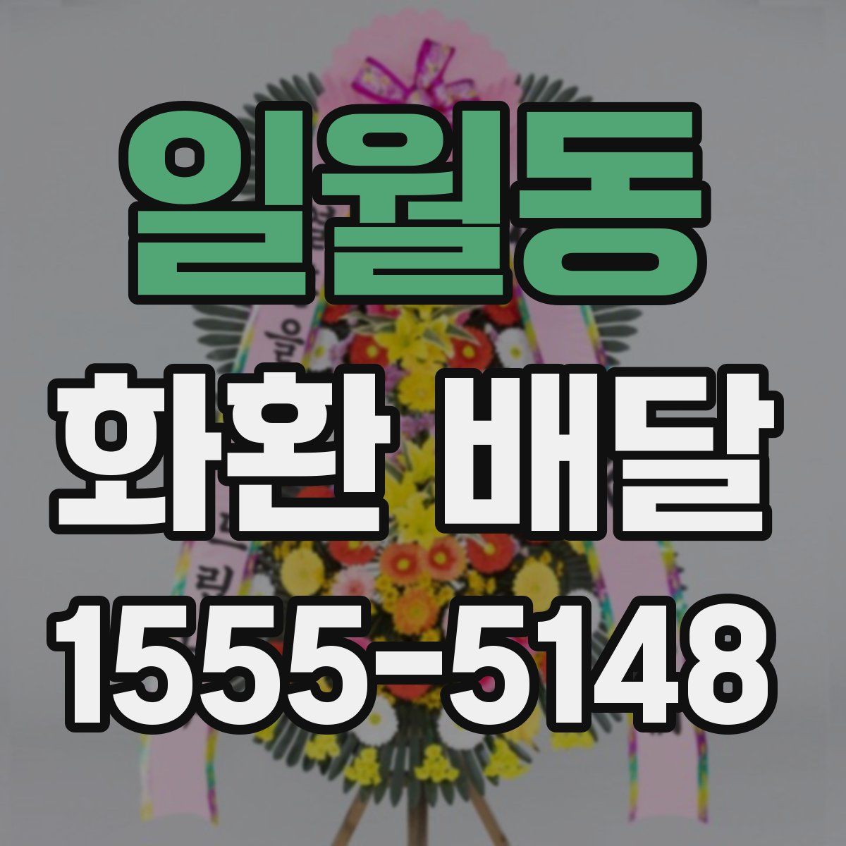 일월동 화환 배달