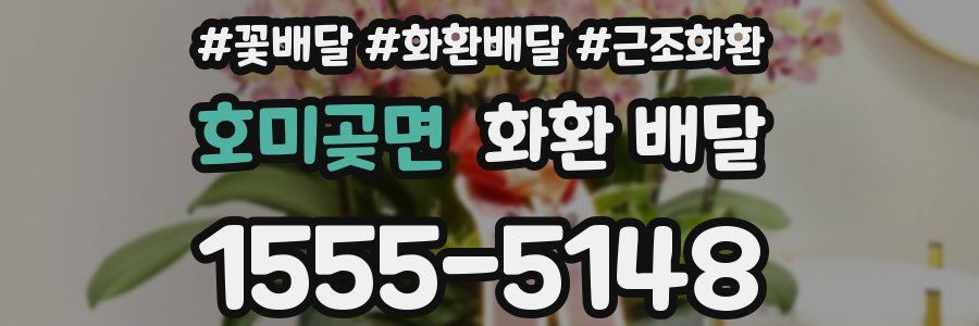호미곶면 화환 배달