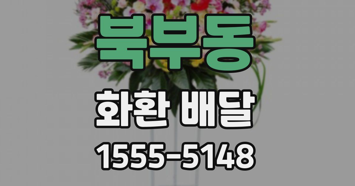 북부동 화환 배달