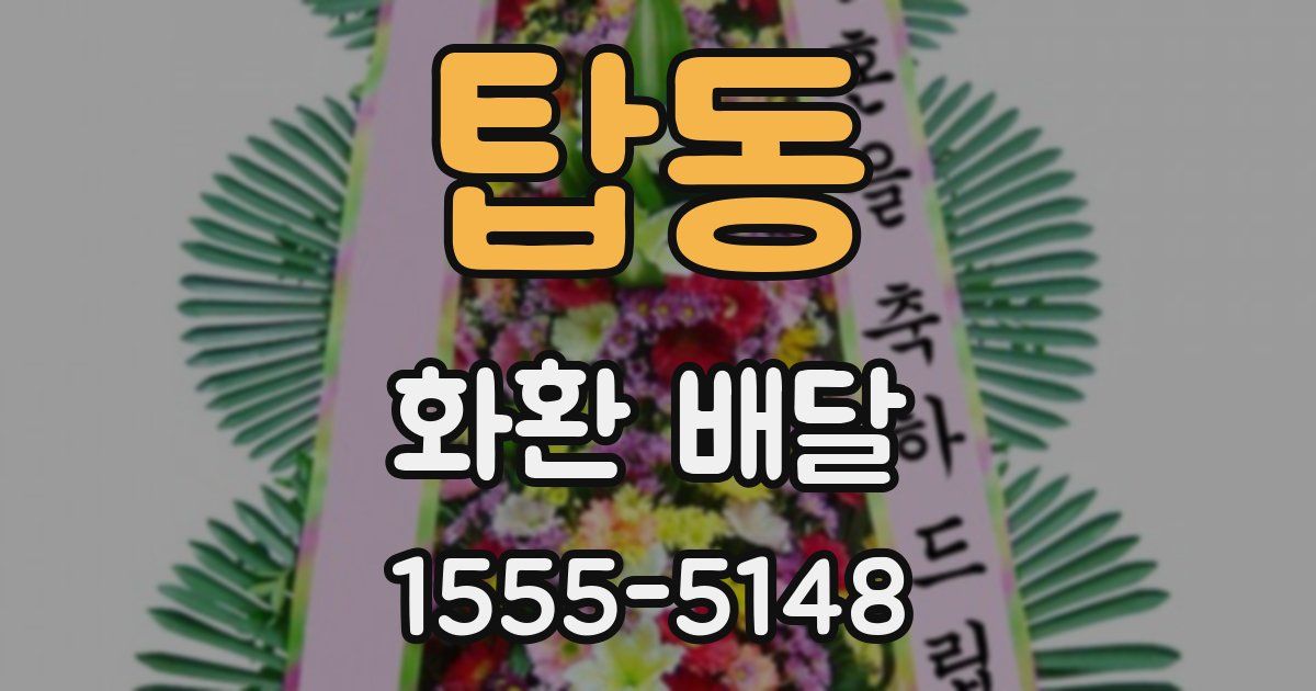 탑동 화환 배달