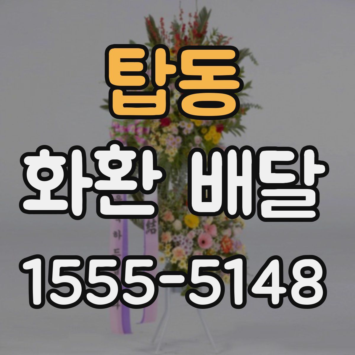 탑동 화환 배달