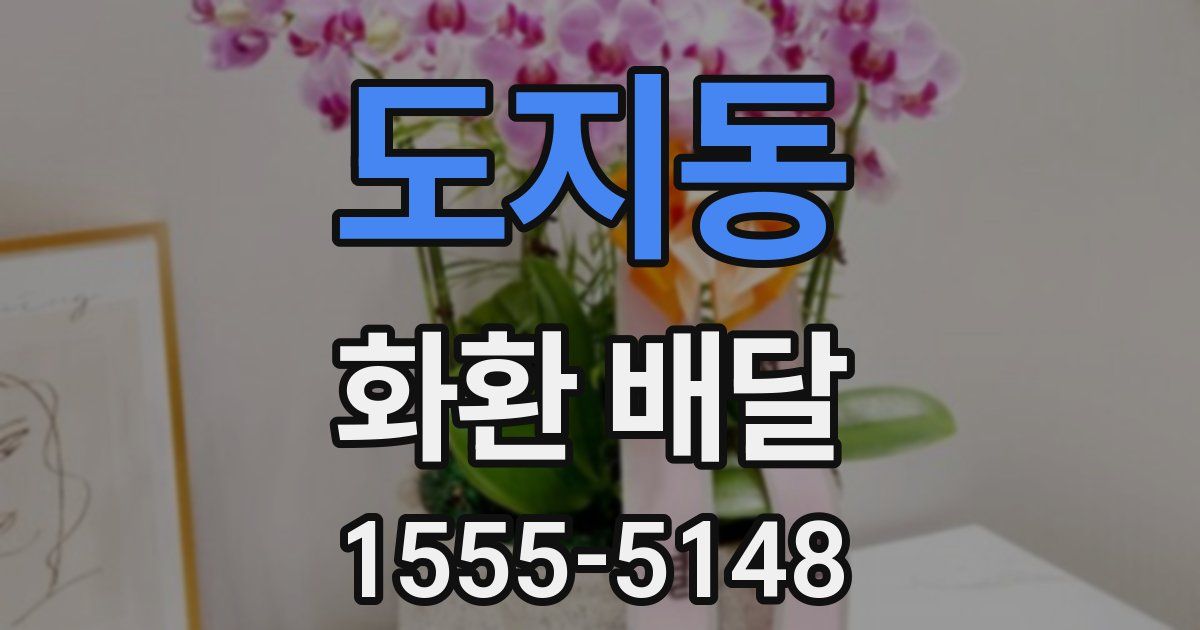도지동 화환 배달