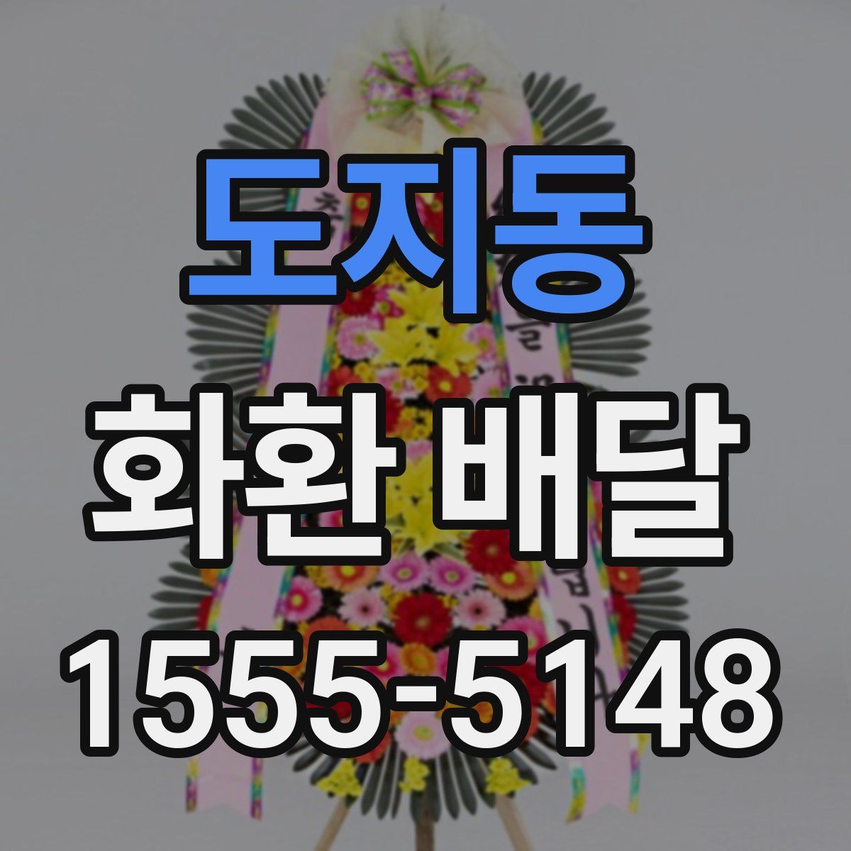 도지동 화환 배달