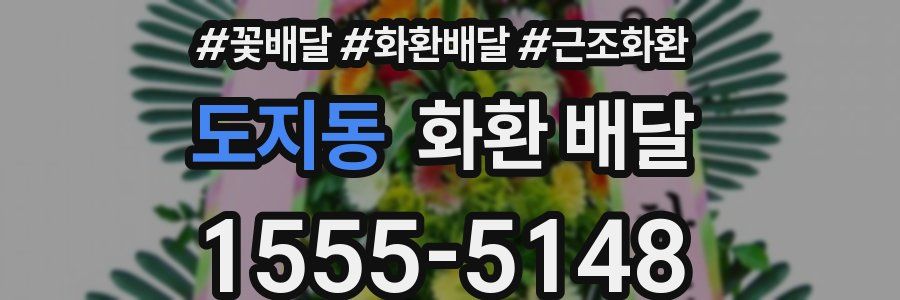 도지동 화환 배달