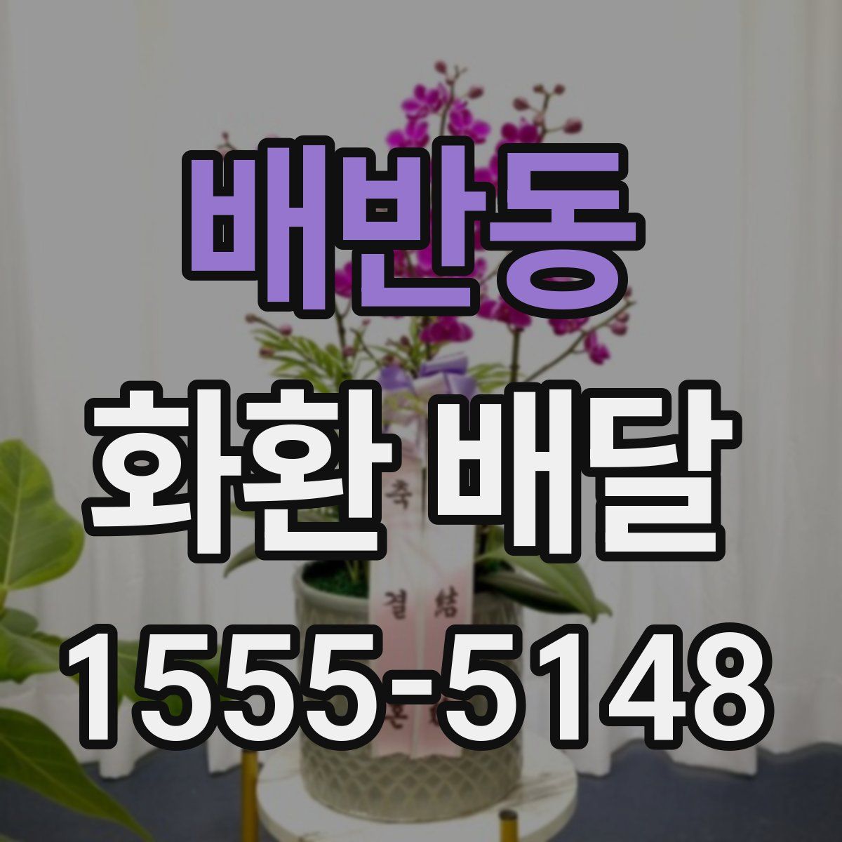 배반동 화환 배달