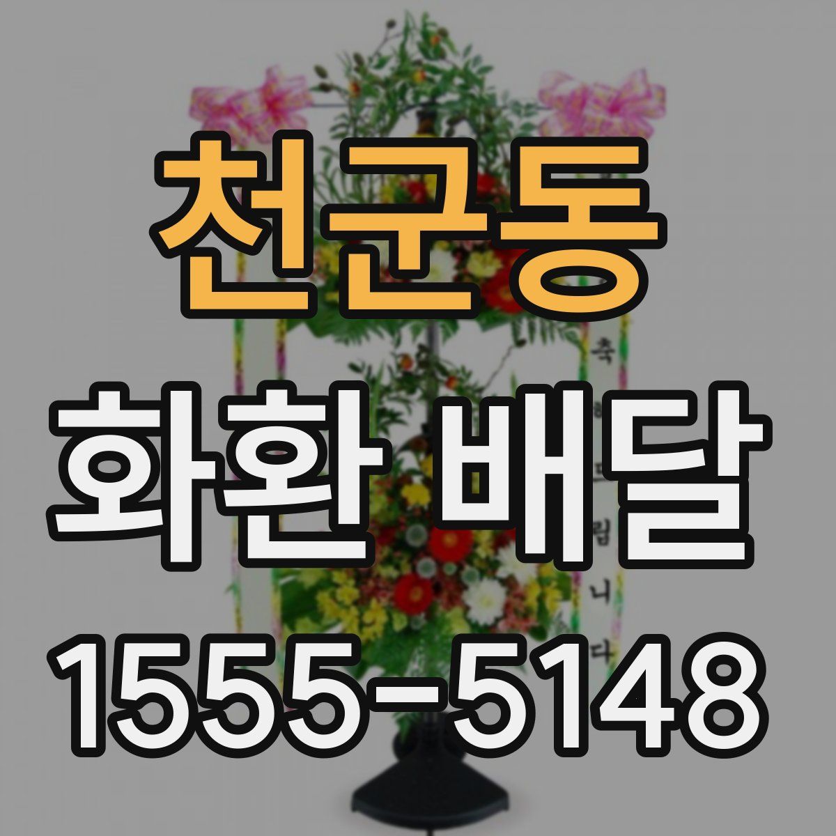 천군동 화환 배달