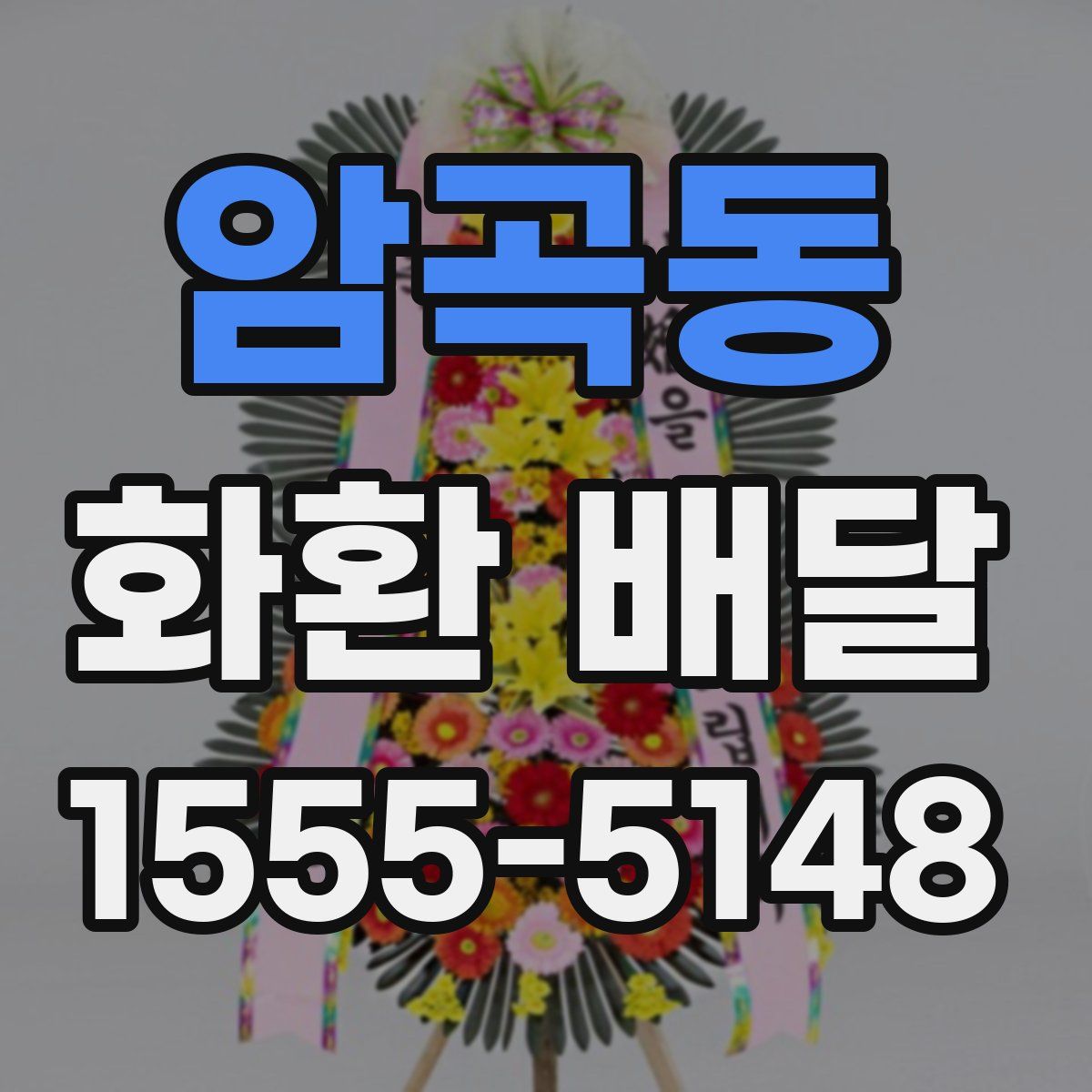 암곡동 화환 배달