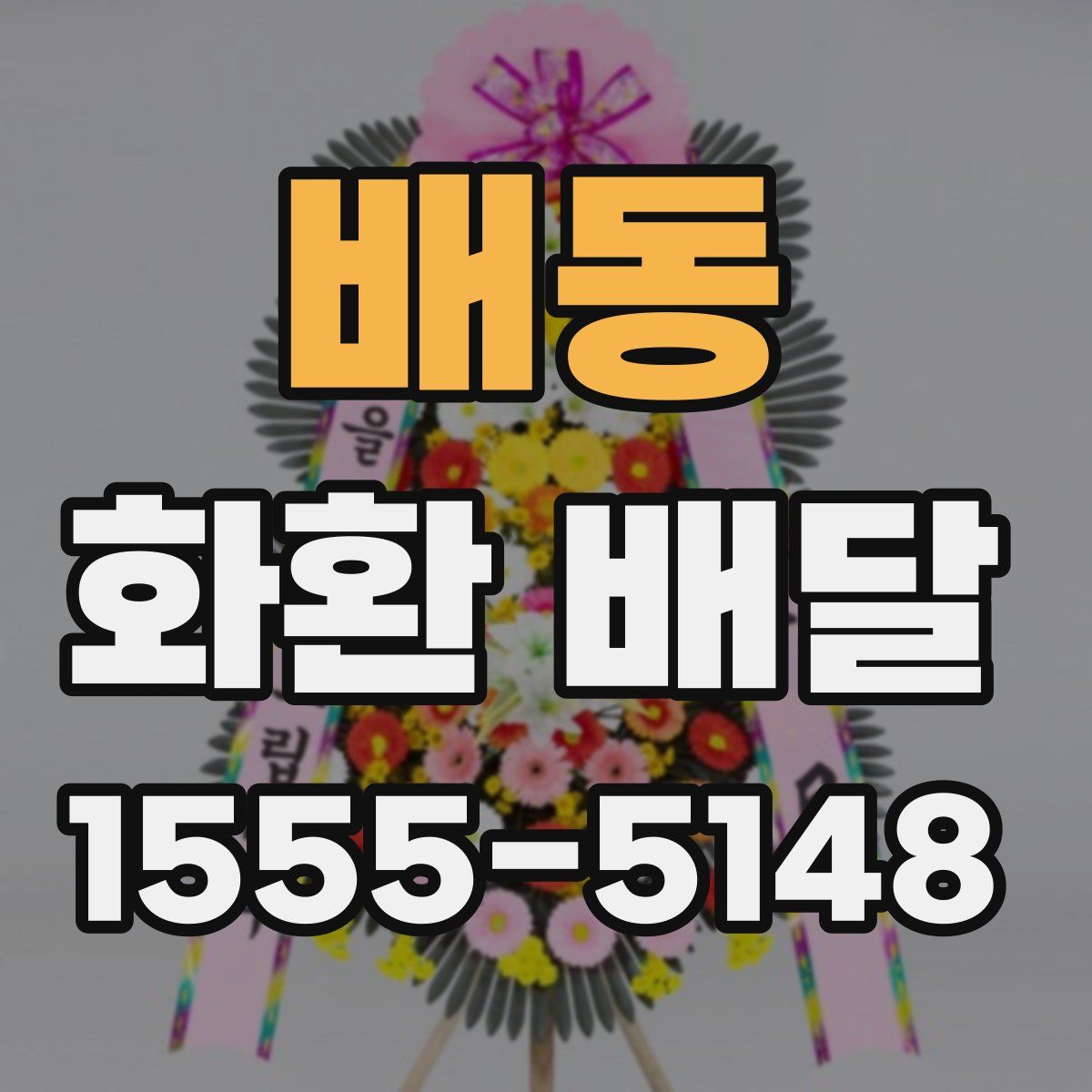 배동 화환 배달