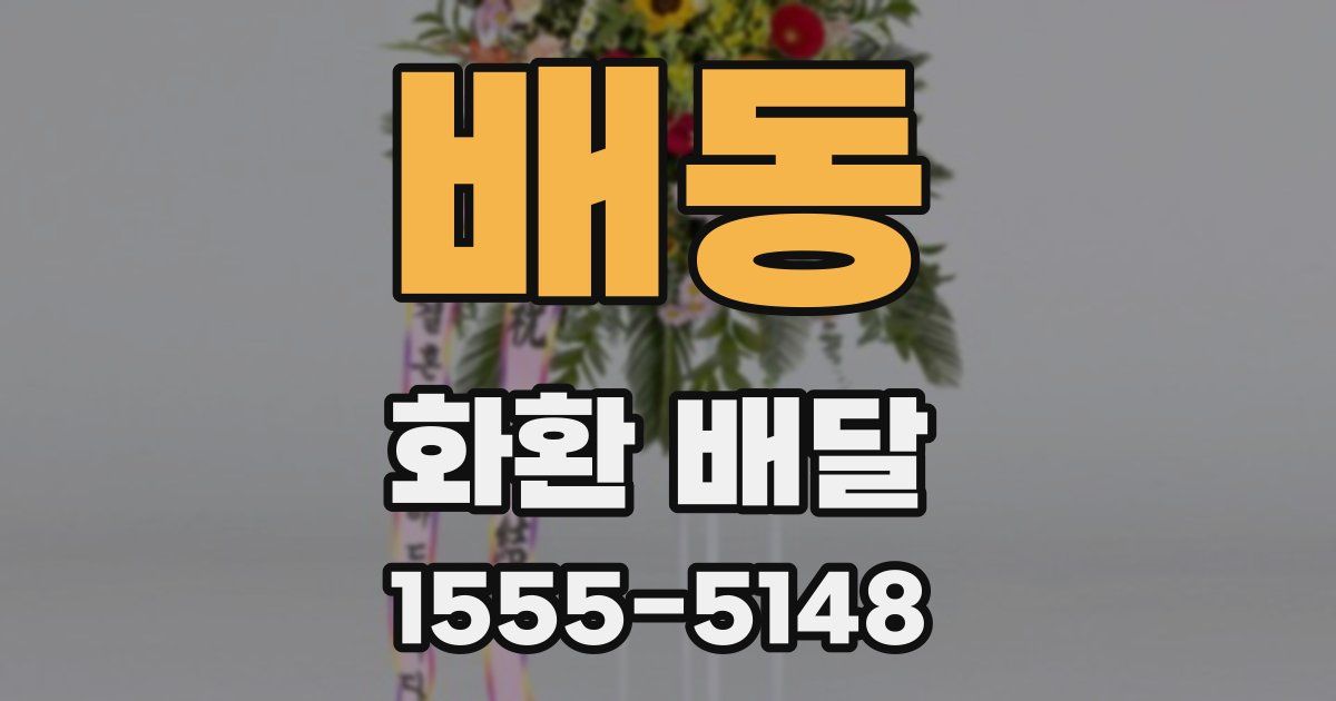 배동 화환 배달