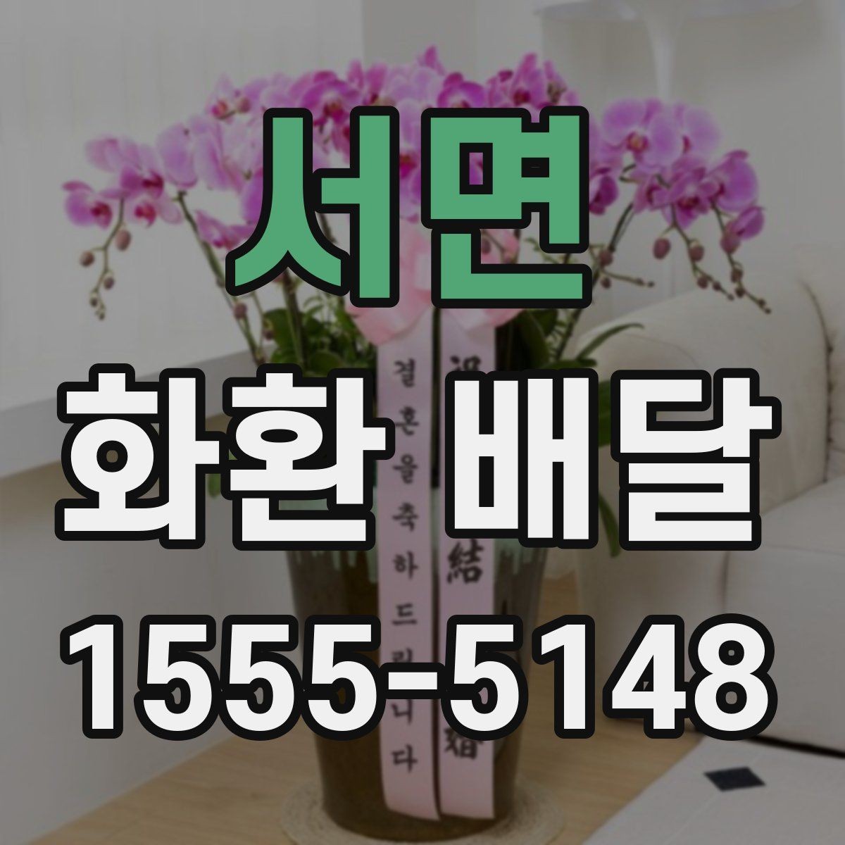 서면 화환 배달 계절에 따라 달라지는 꽃 구성과 분위기