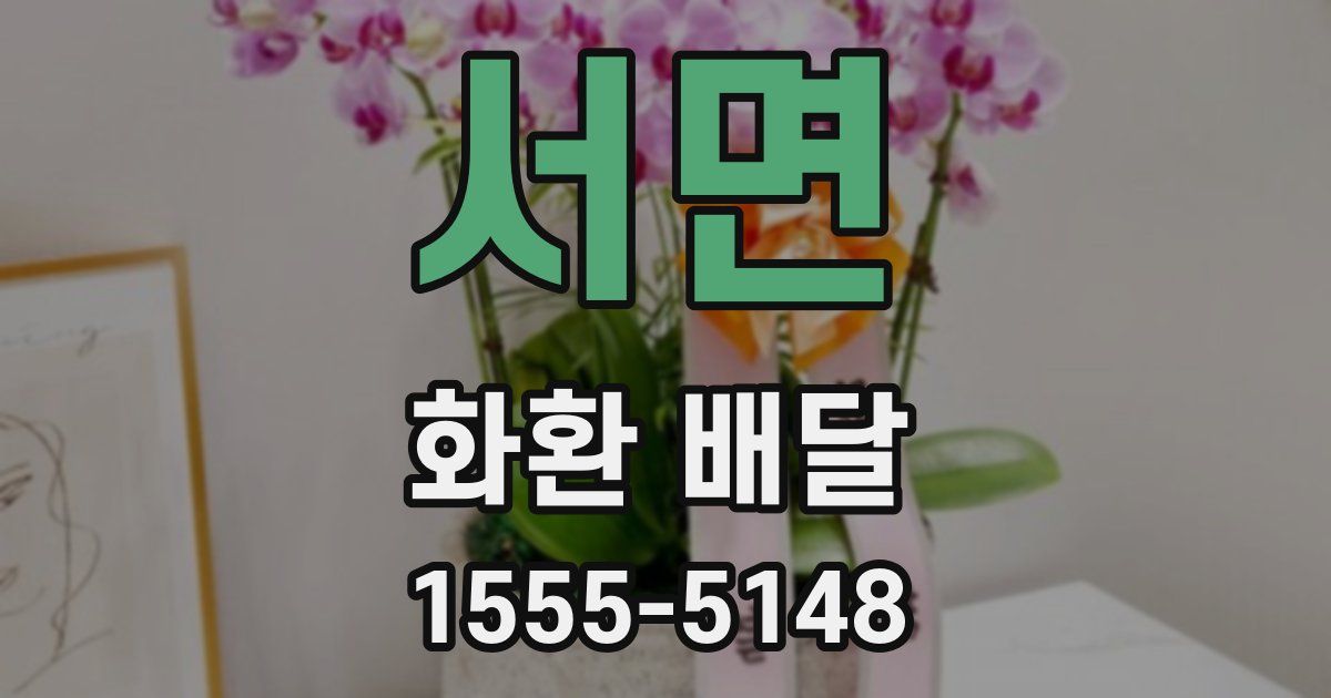 서면 화환 배달