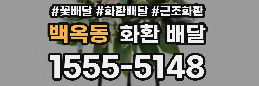 백옥동 화환 배달