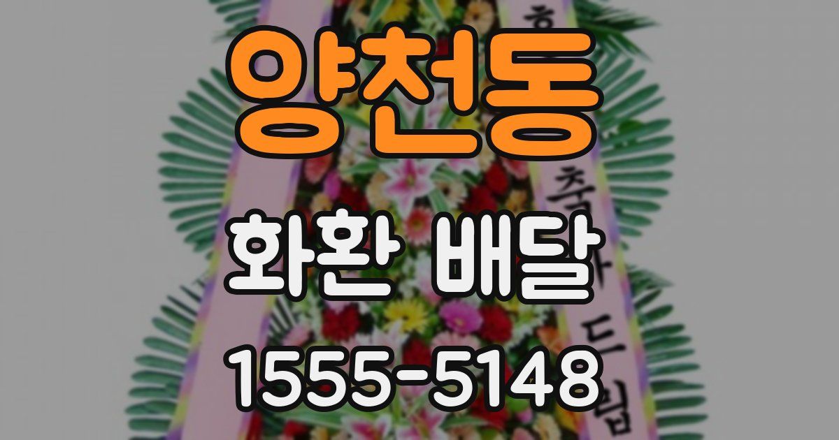 양천동 화환 배달