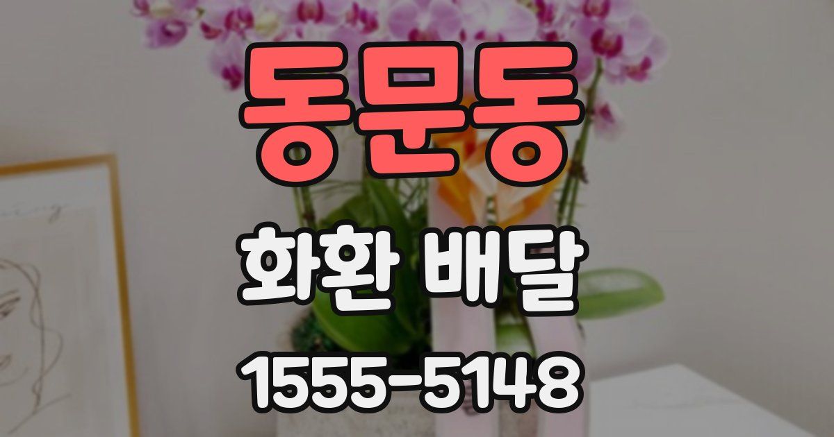 동문동 화환 배달