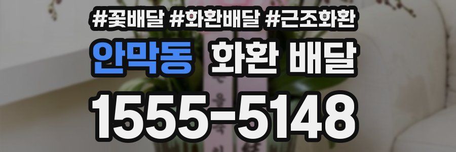 안막동 화환 배달