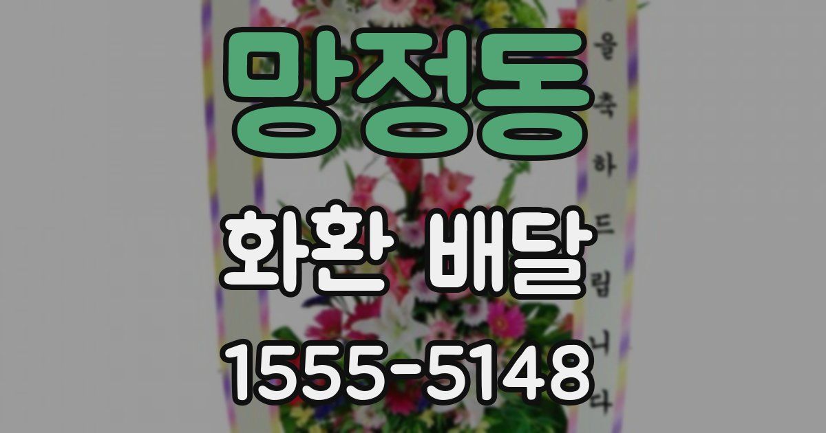 망정동 화환 배달