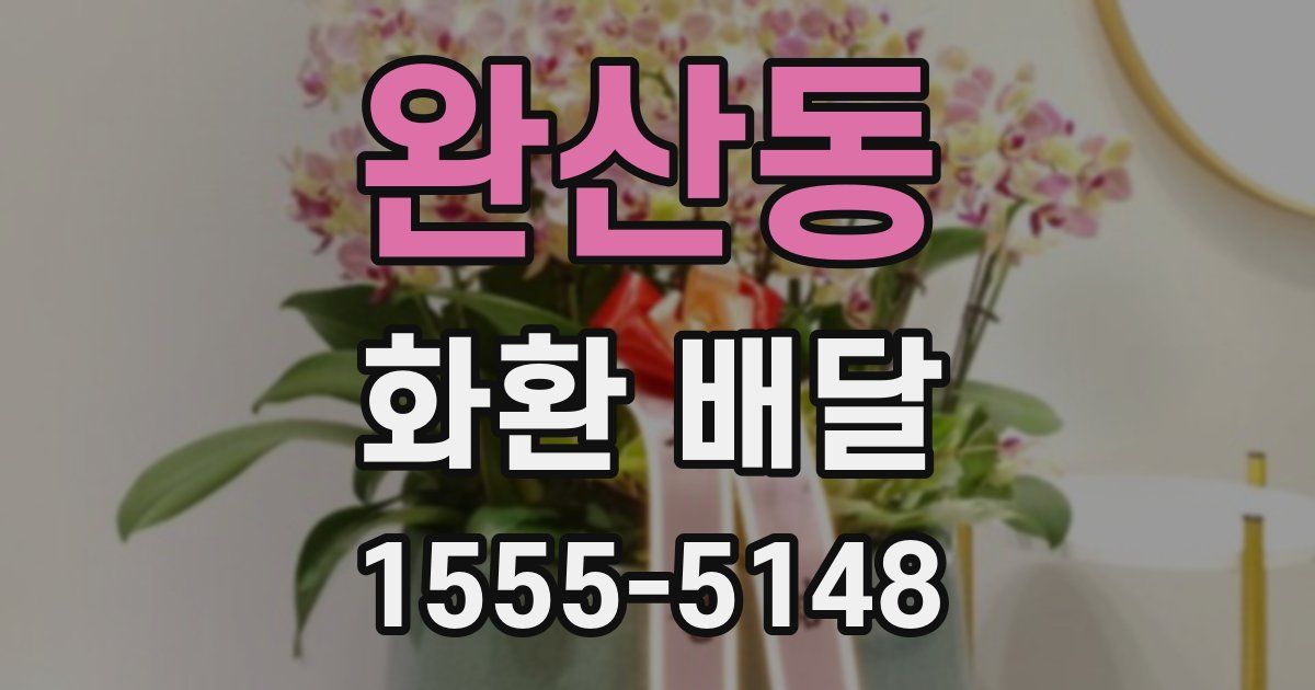 완산동 화환 배달