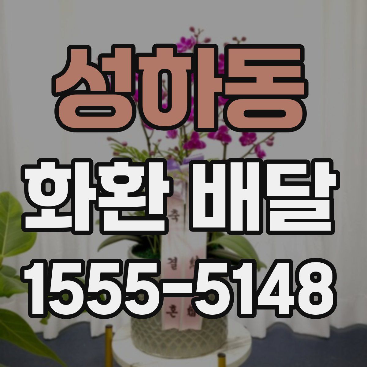 성하동 화환 배달