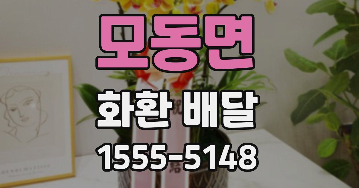 모동면 화환 배달