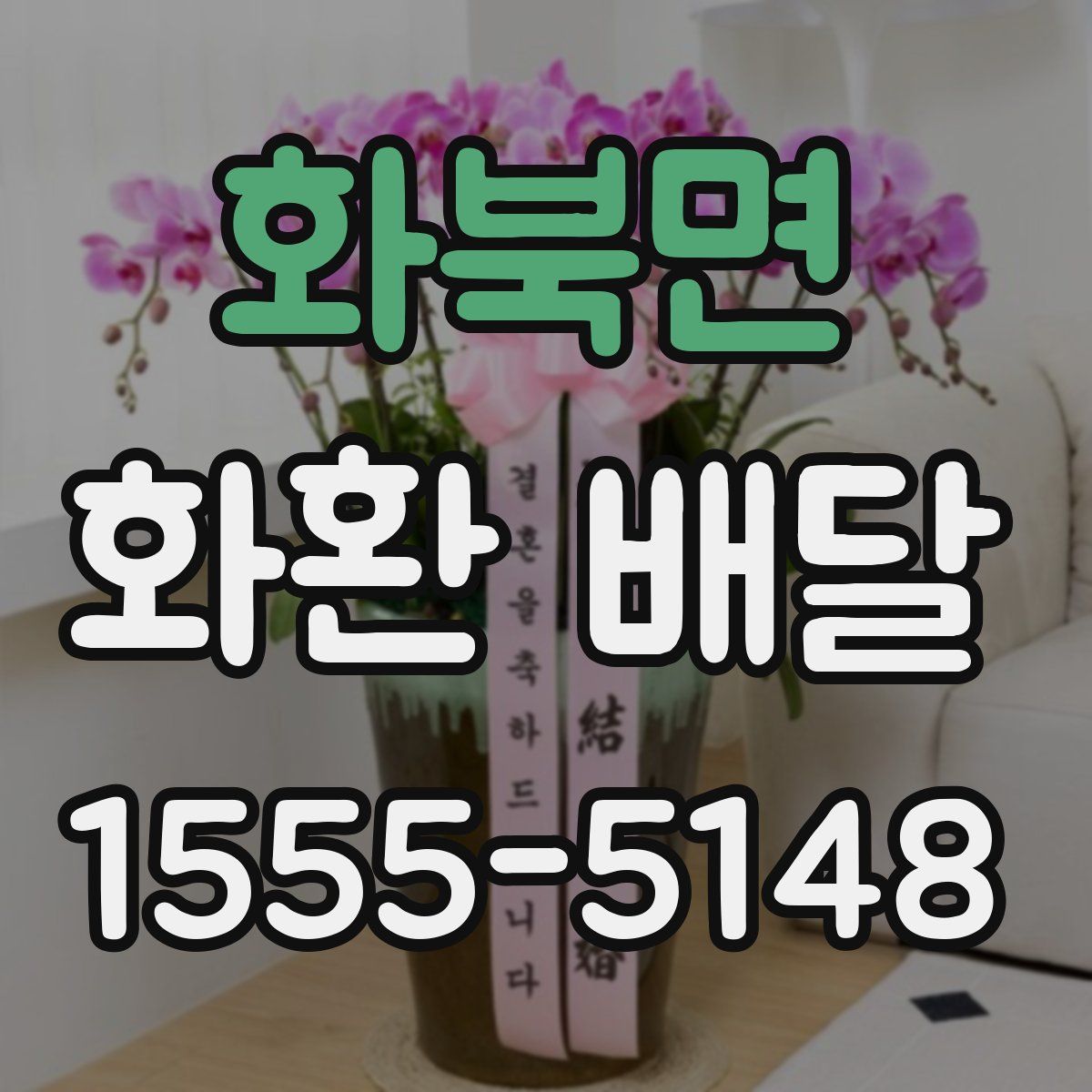 화북면 화환 배달