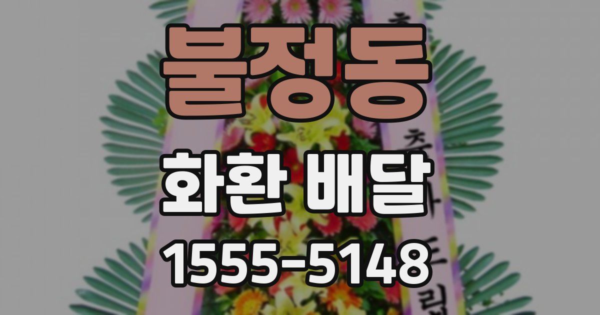 불정동 화환 배달