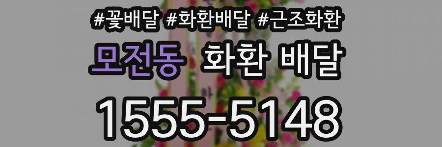 모전동 화환 배달