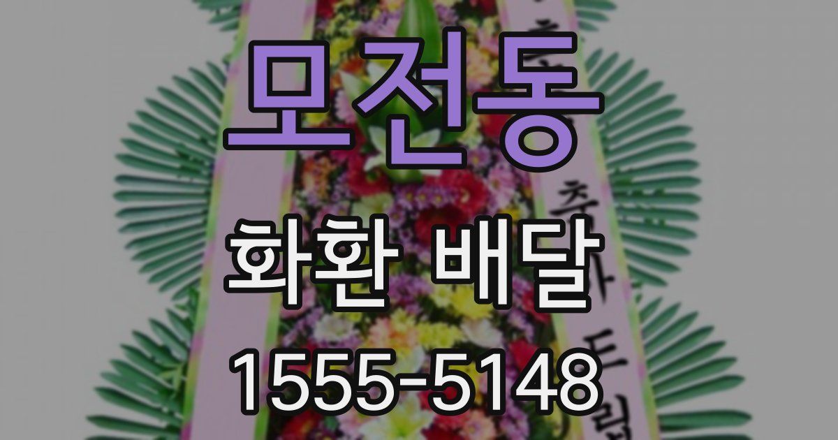 모전동 화환 배달