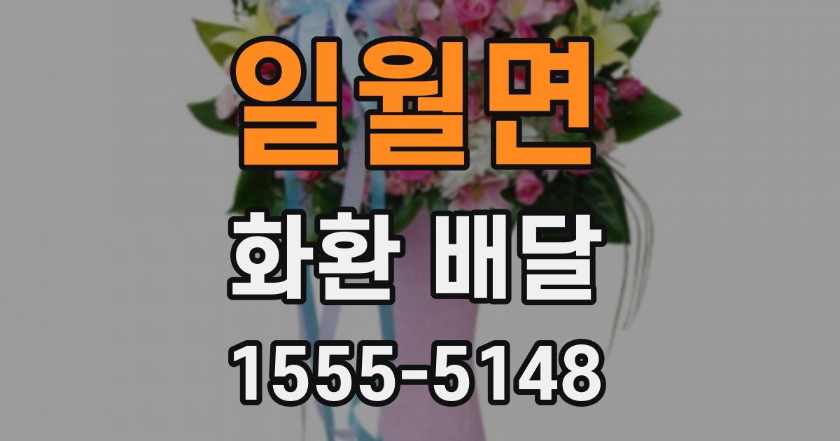 일월면 화환 배달