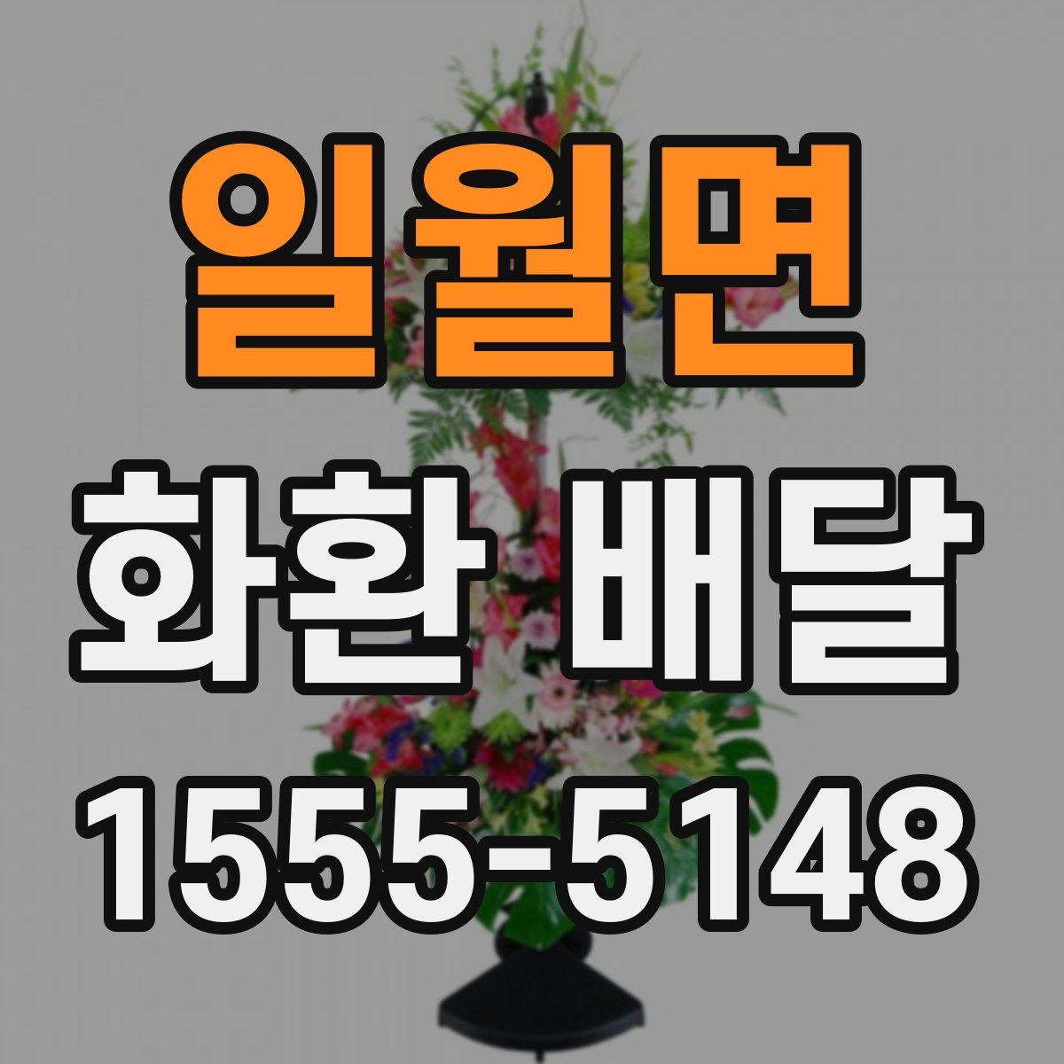 일월면 화환 배달