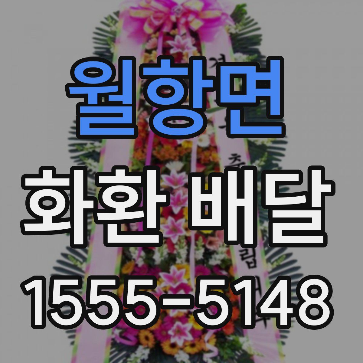 월항면 화환 배달