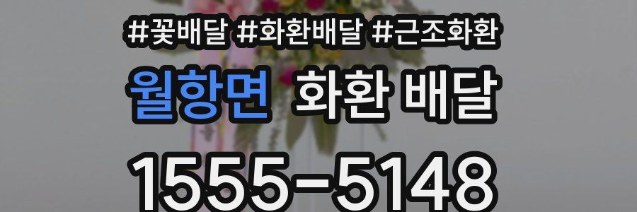 월항면 화환 배달