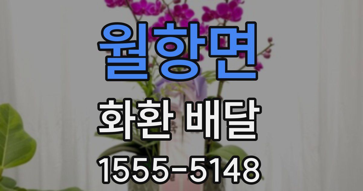 월항면 화환 배달
