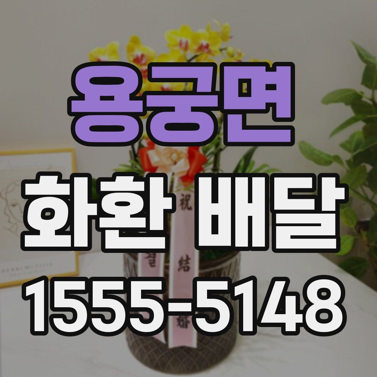 용궁면 화환 배달