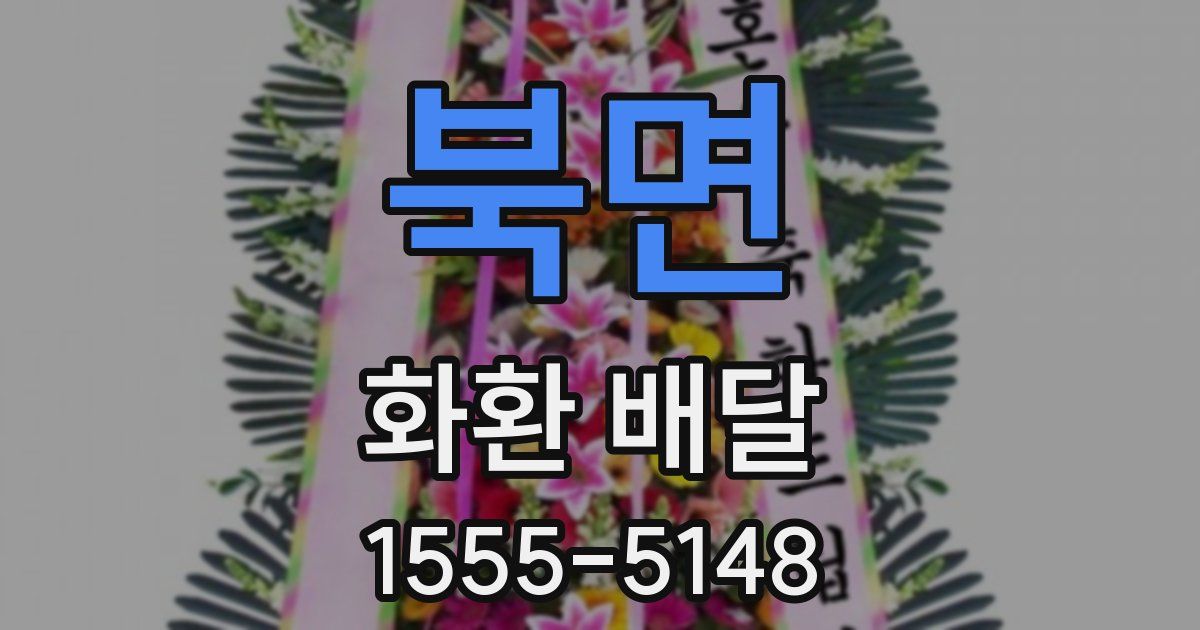북면 화환 배달