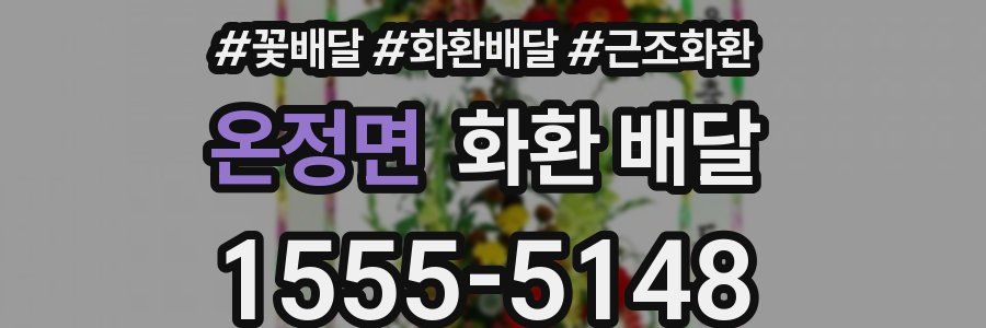 온정면 화환 배달