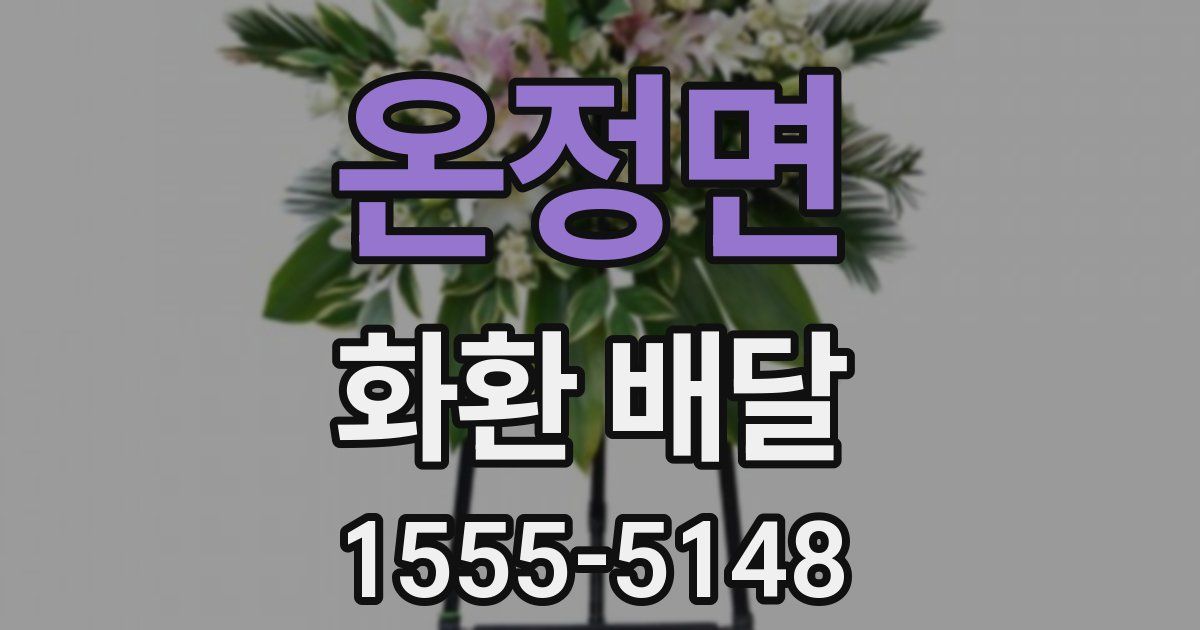 온정면 화환 배달