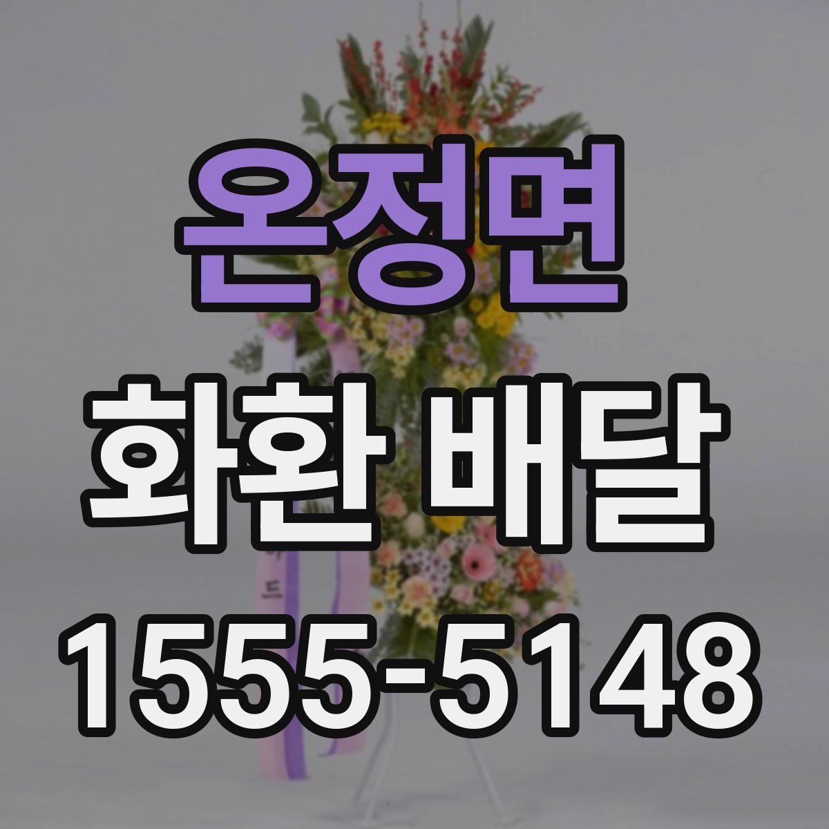 온정면 화환 배달