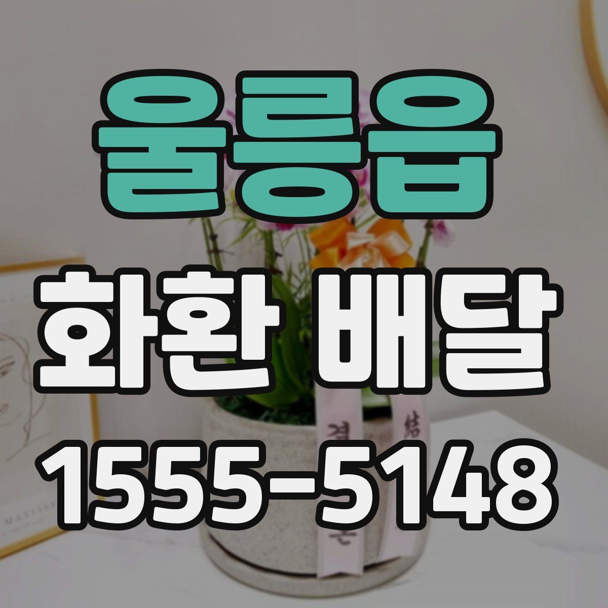 울릉읍 화환 배달