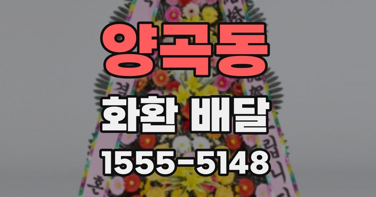 양곡동 화환 배달