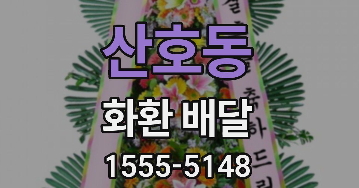 산호동 화환 배달