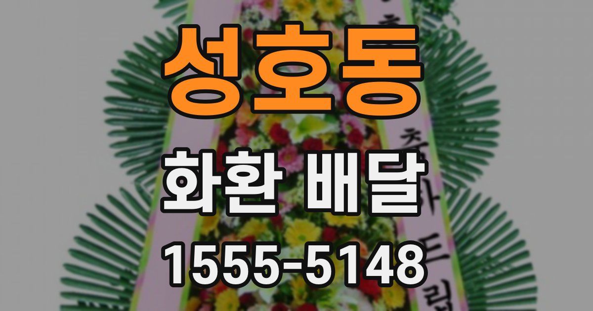 성호동 화환 배달