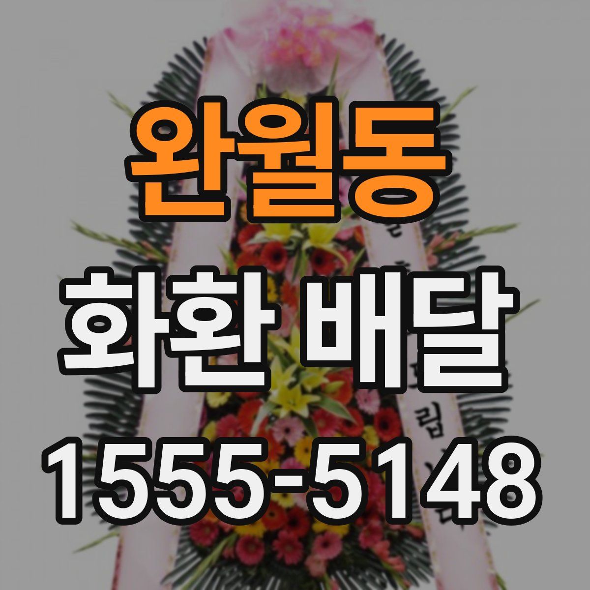 완월동 화환 배달