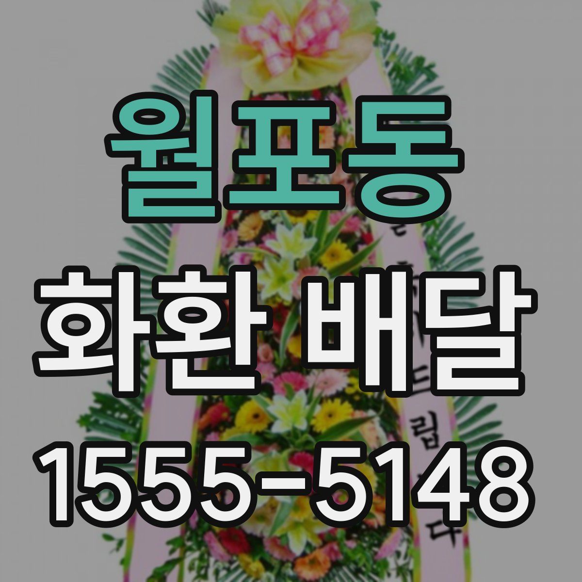 월포동 화환 배달
