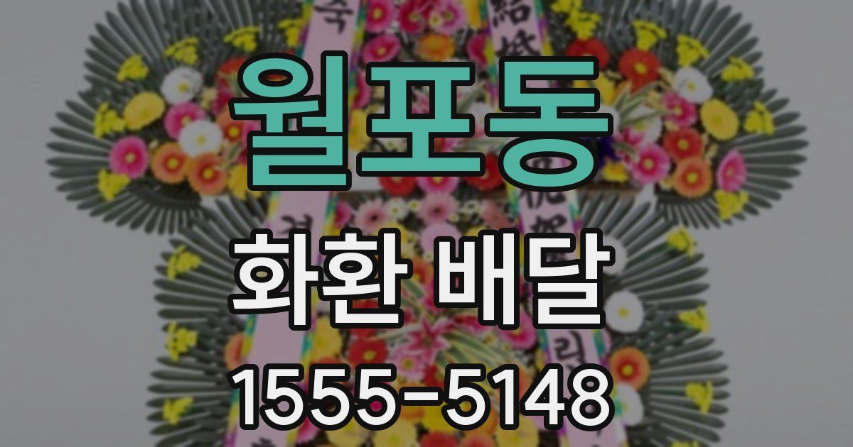 월포동 화환 배달