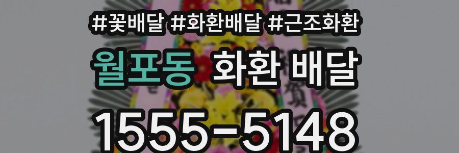 월포동 화환 배달