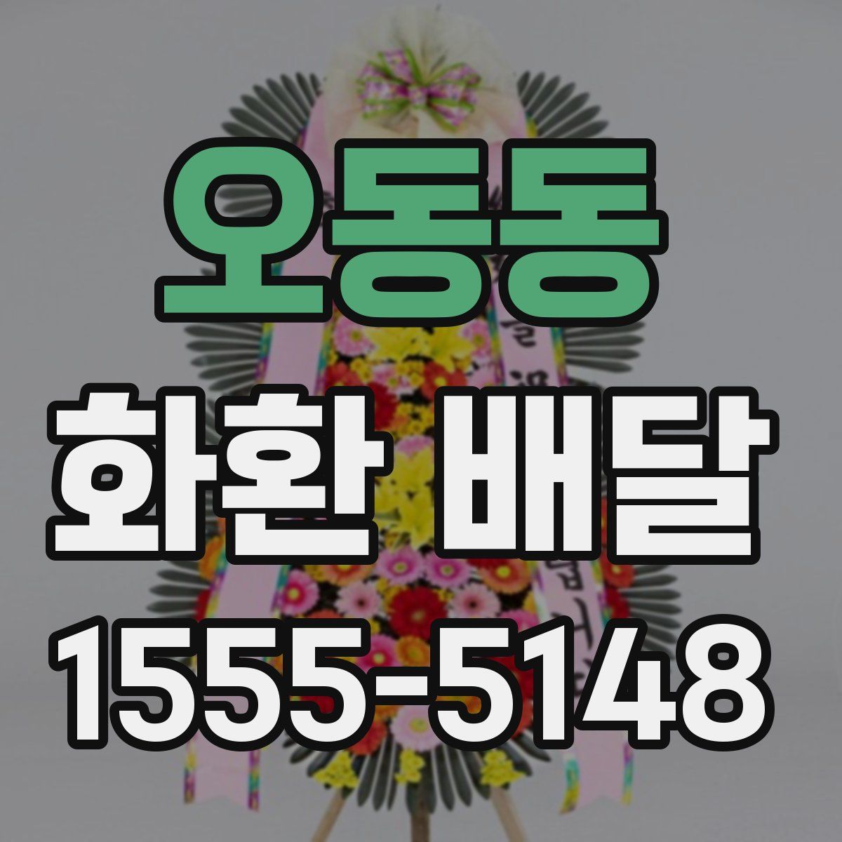 오동동 화환 배달